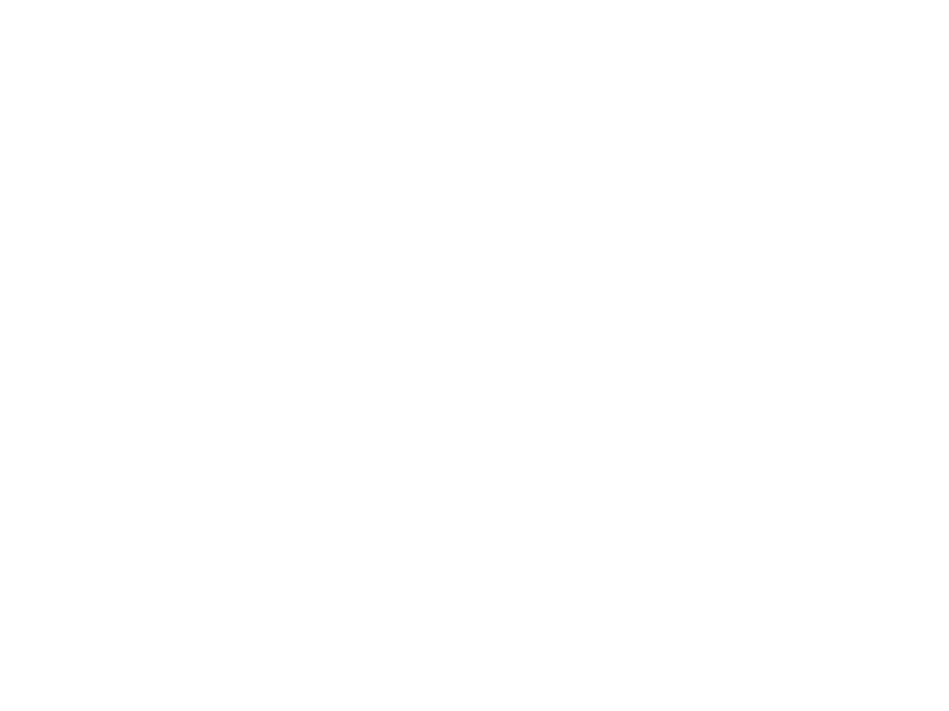 ZimmCap Logo